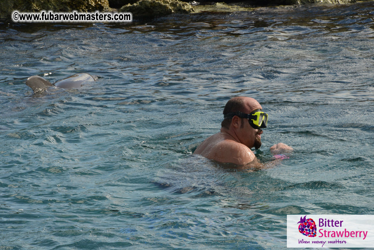 WireCard Dolphin Swim