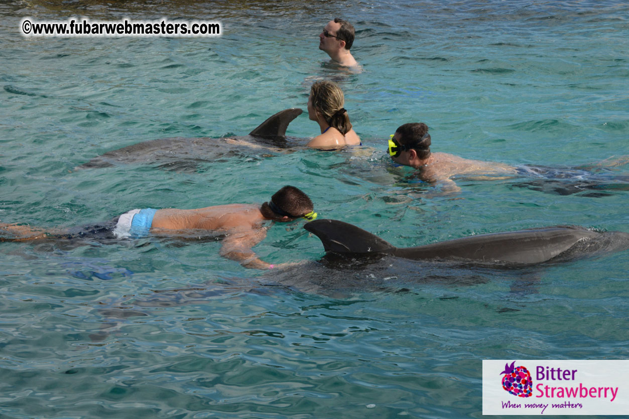 WireCard Dolphin Swim