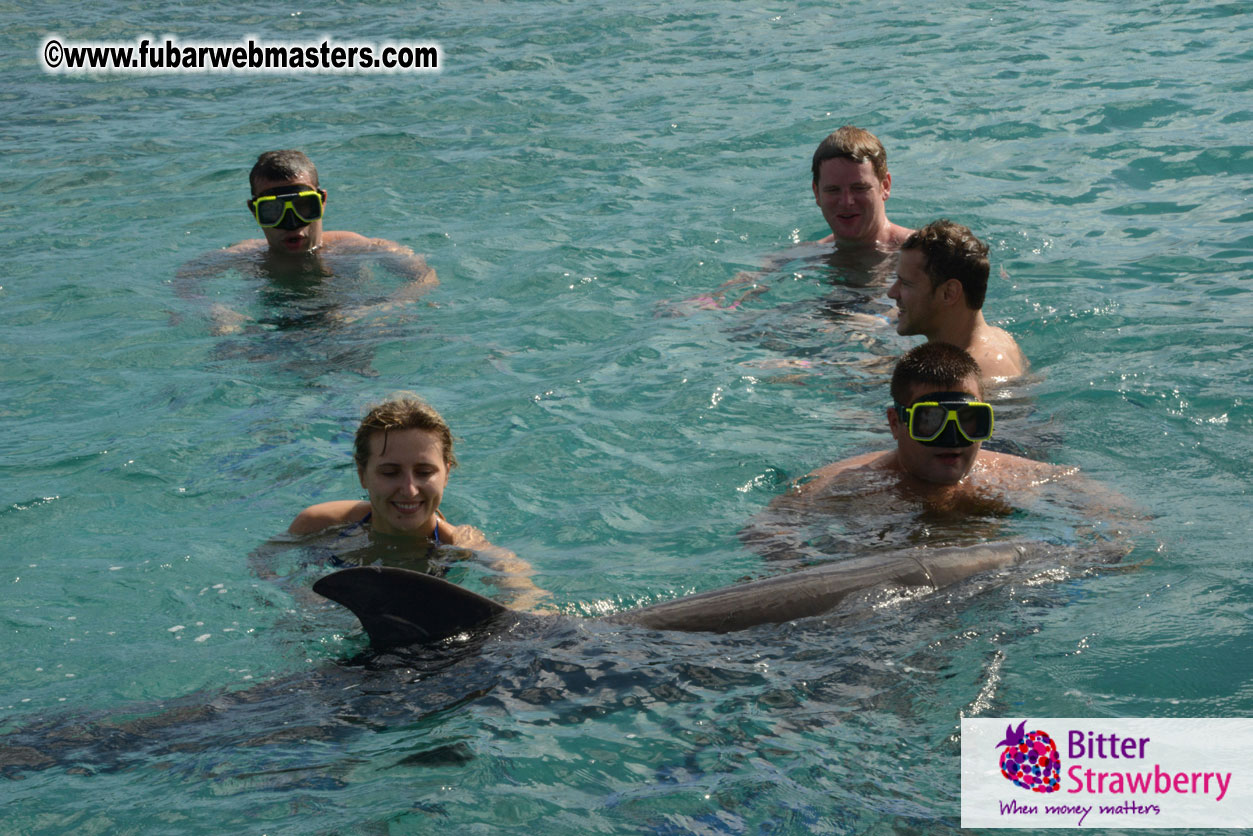 WireCard Dolphin Swim