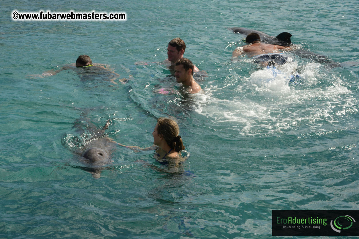 WireCard Dolphin Swim