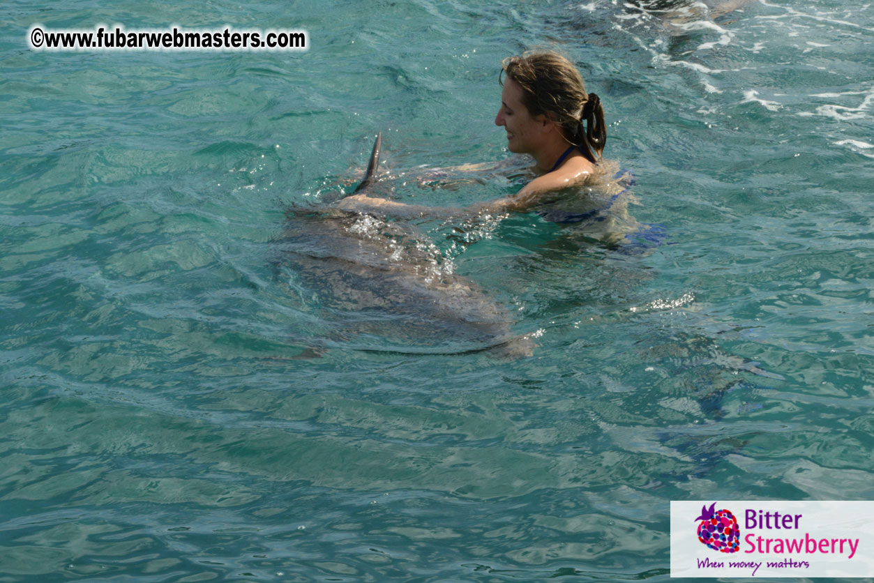 WireCard Dolphin Swim