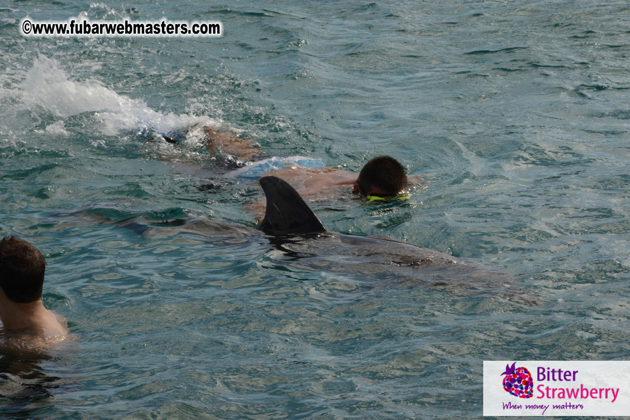 WireCard Dolphin Swim