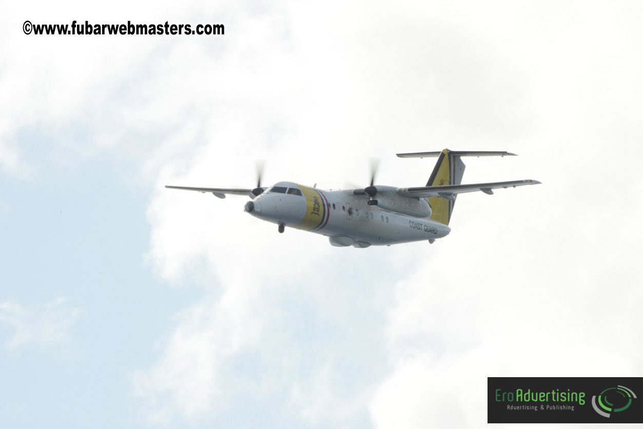 WireCard Dolphin Swim