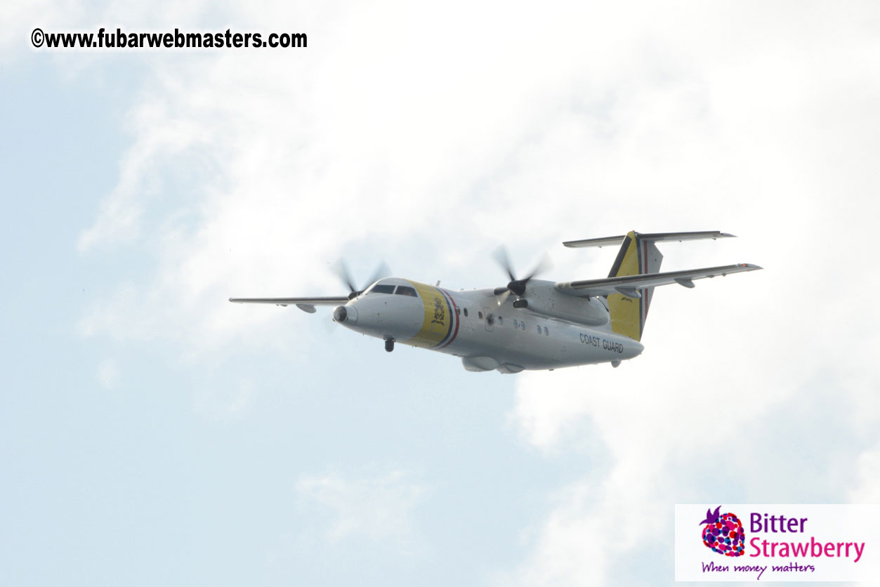 WireCard Dolphin Swim