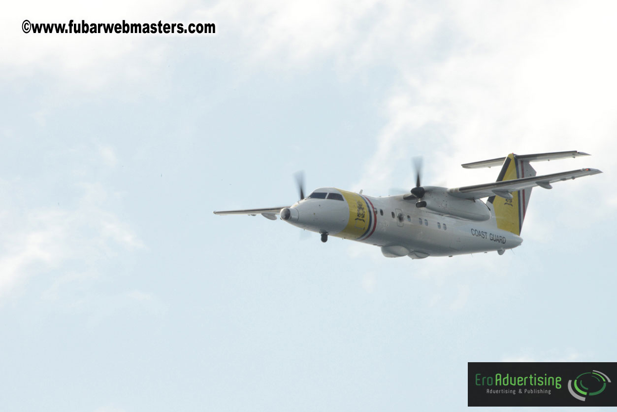 WireCard Dolphin Swim