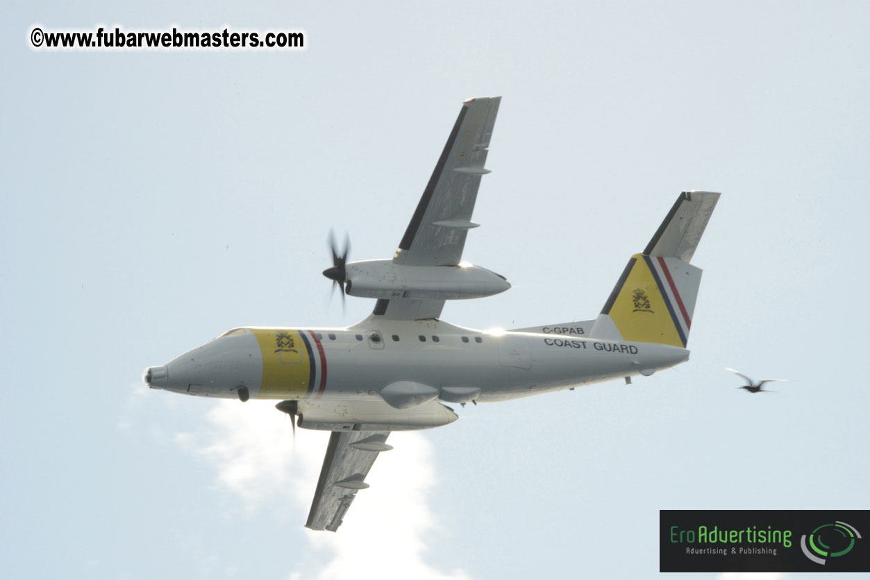 WireCard Dolphin Swim