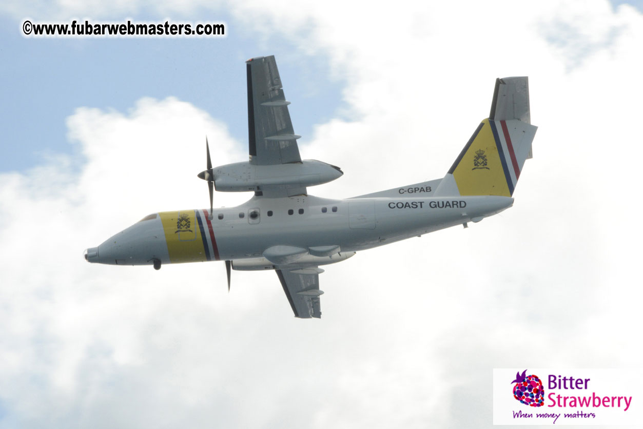 WireCard Dolphin Swim