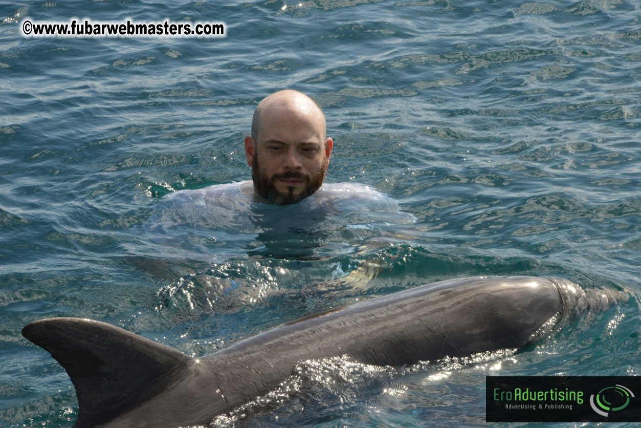 WireCard Dolphin Swim