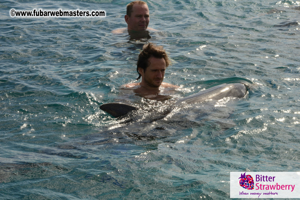 WireCard Dolphin Swim