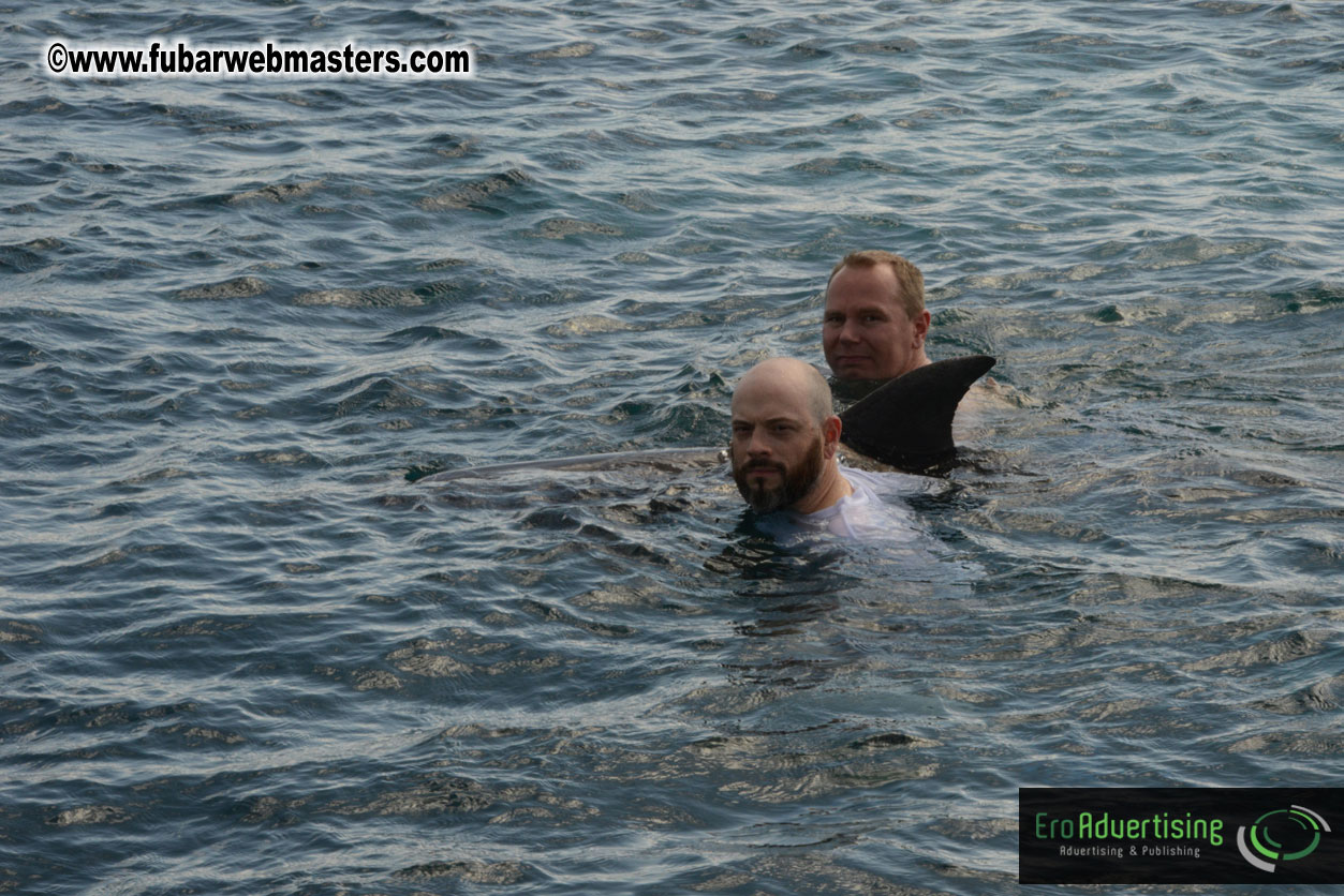 WireCard Dolphin Swim