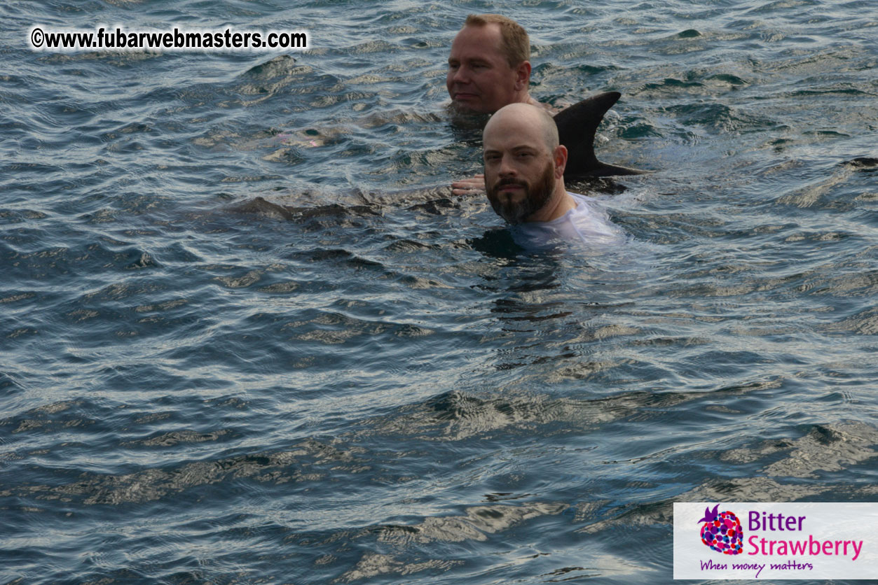 WireCard Dolphin Swim