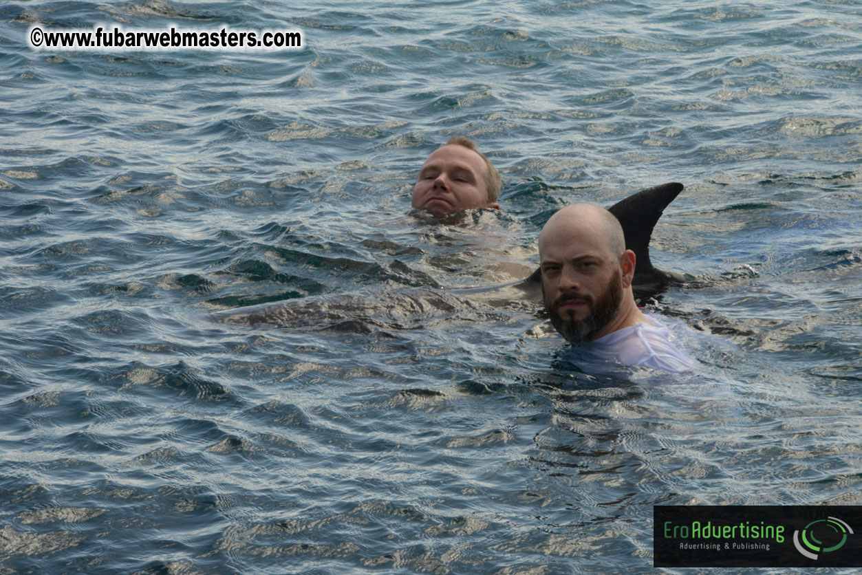 WireCard Dolphin Swim