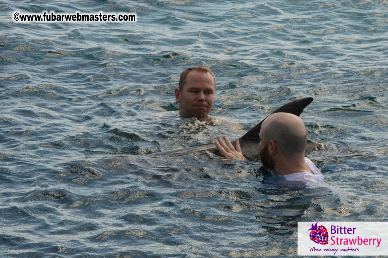 WireCard Dolphin Swim