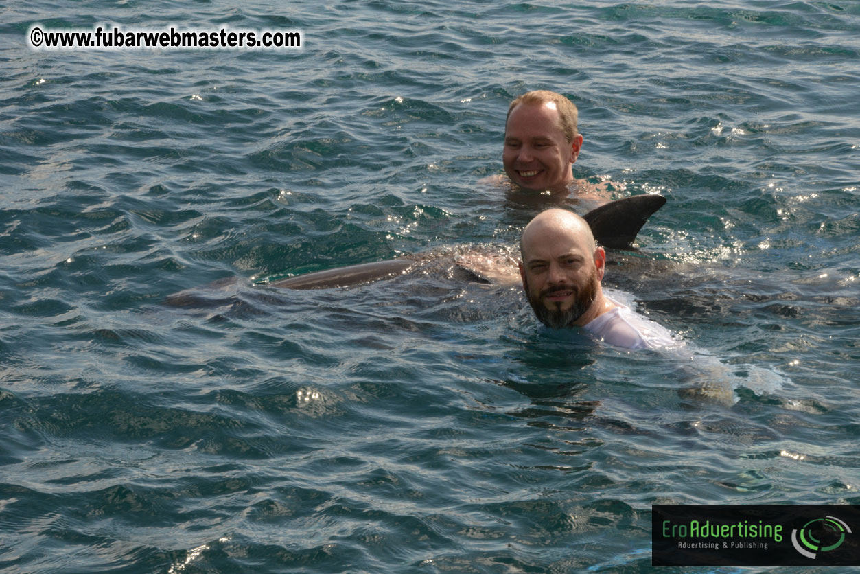 WireCard Dolphin Swim