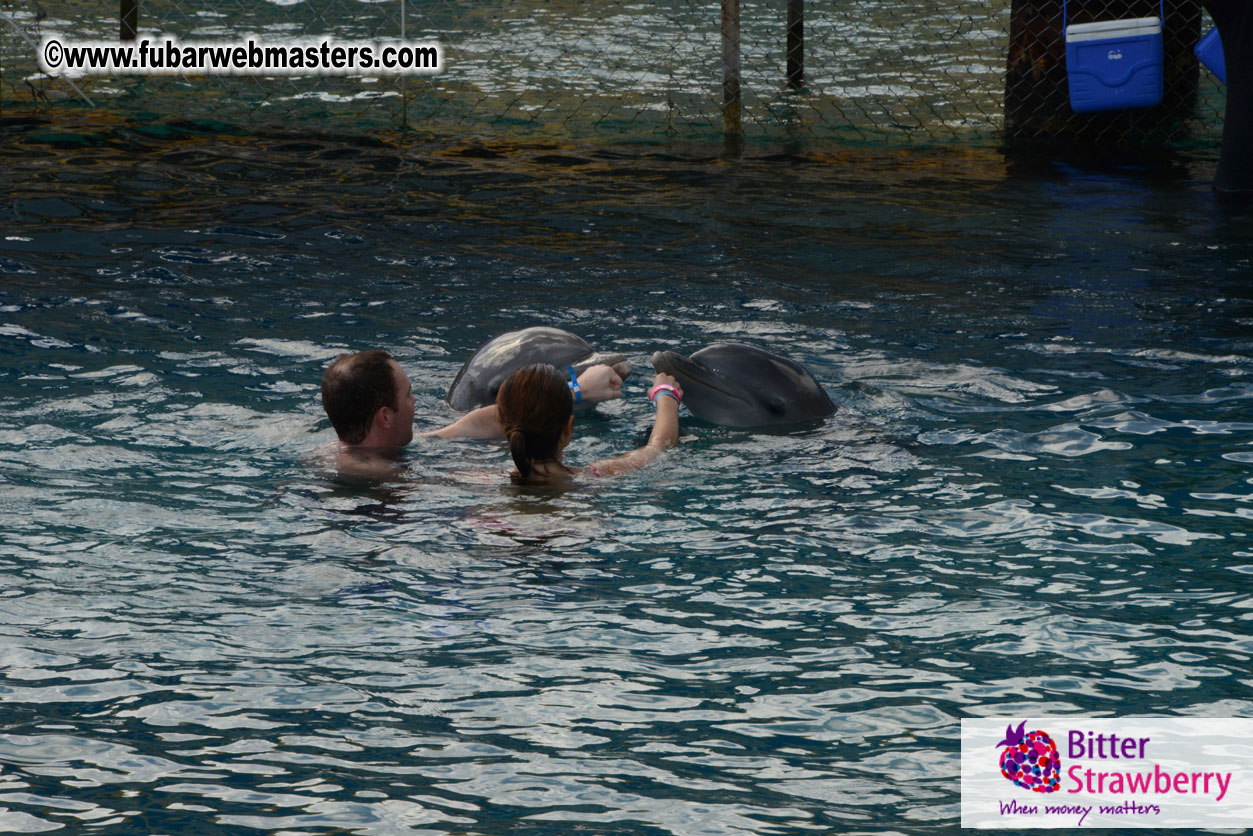 WireCard Dolphin Swim