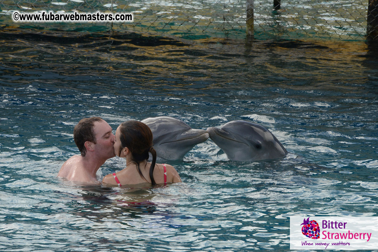 WireCard Dolphin Swim