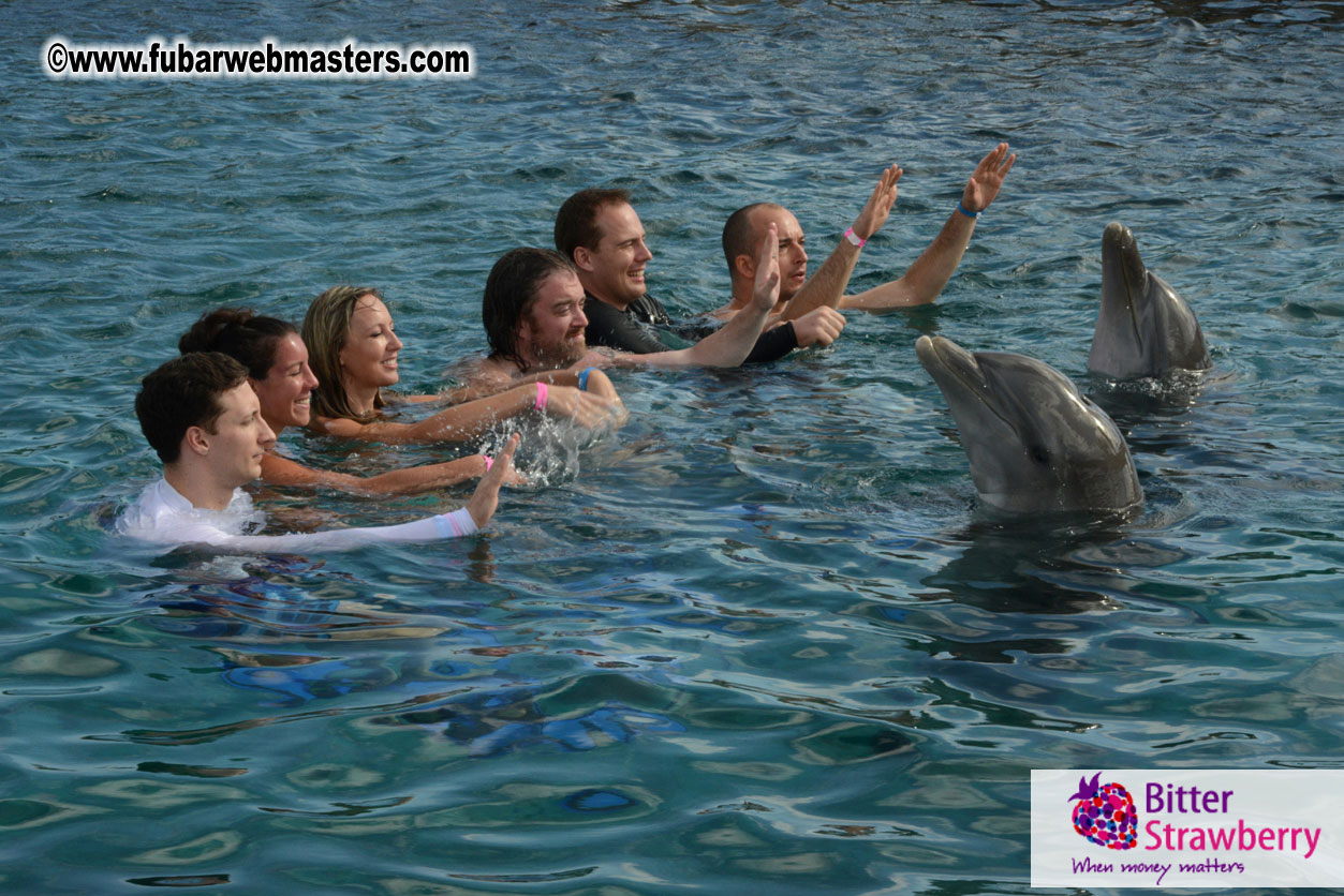 WireCard Dolphin Swim