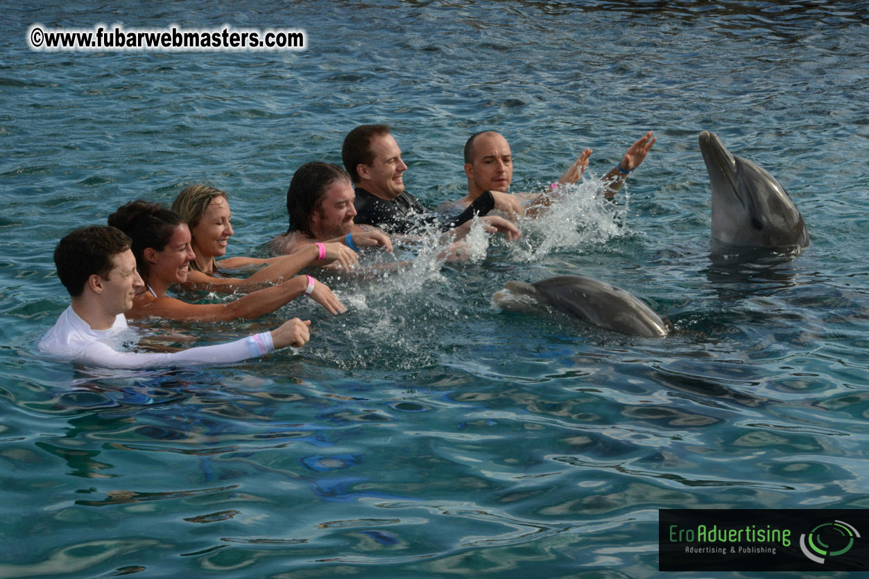 WireCard Dolphin Swim