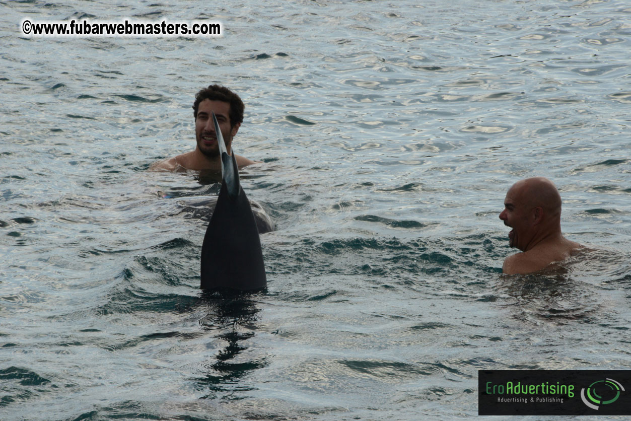 WireCard Dolphin Swim