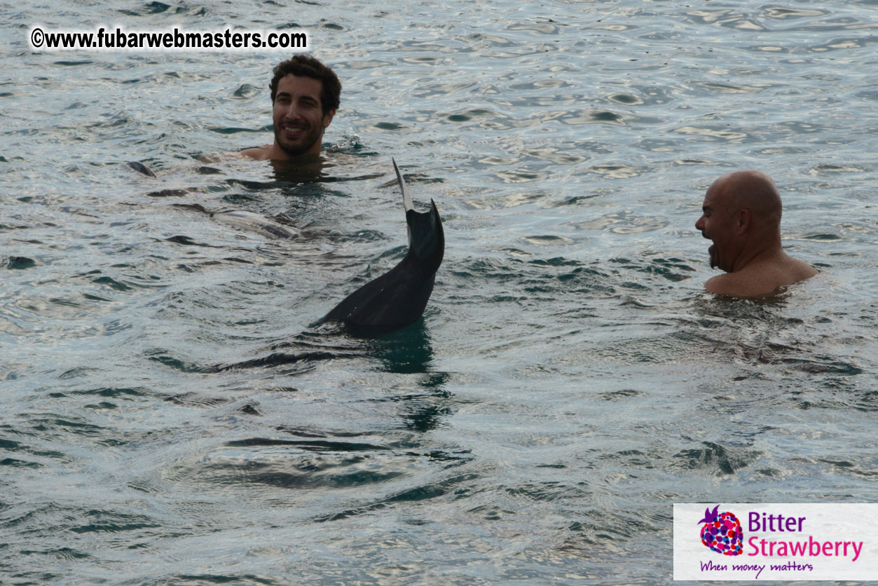 WireCard Dolphin Swim