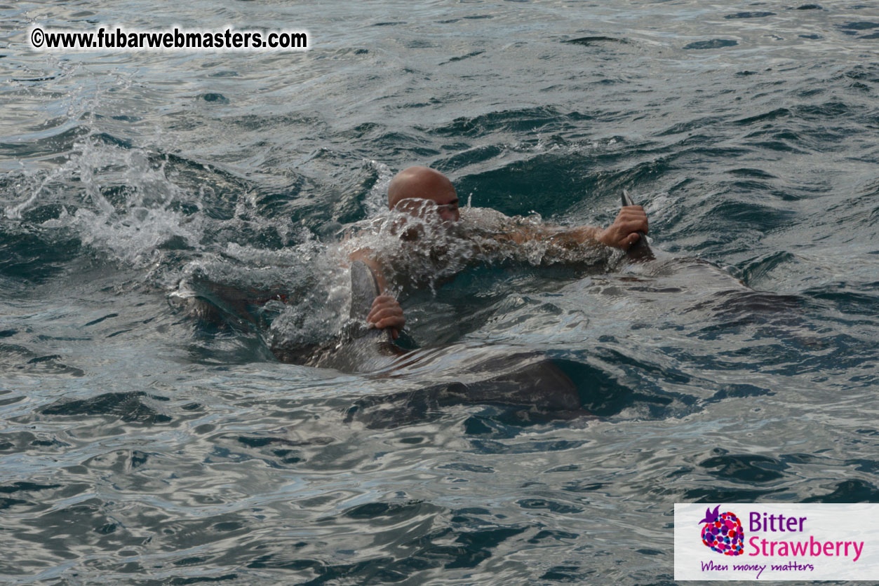 WireCard Dolphin Swim