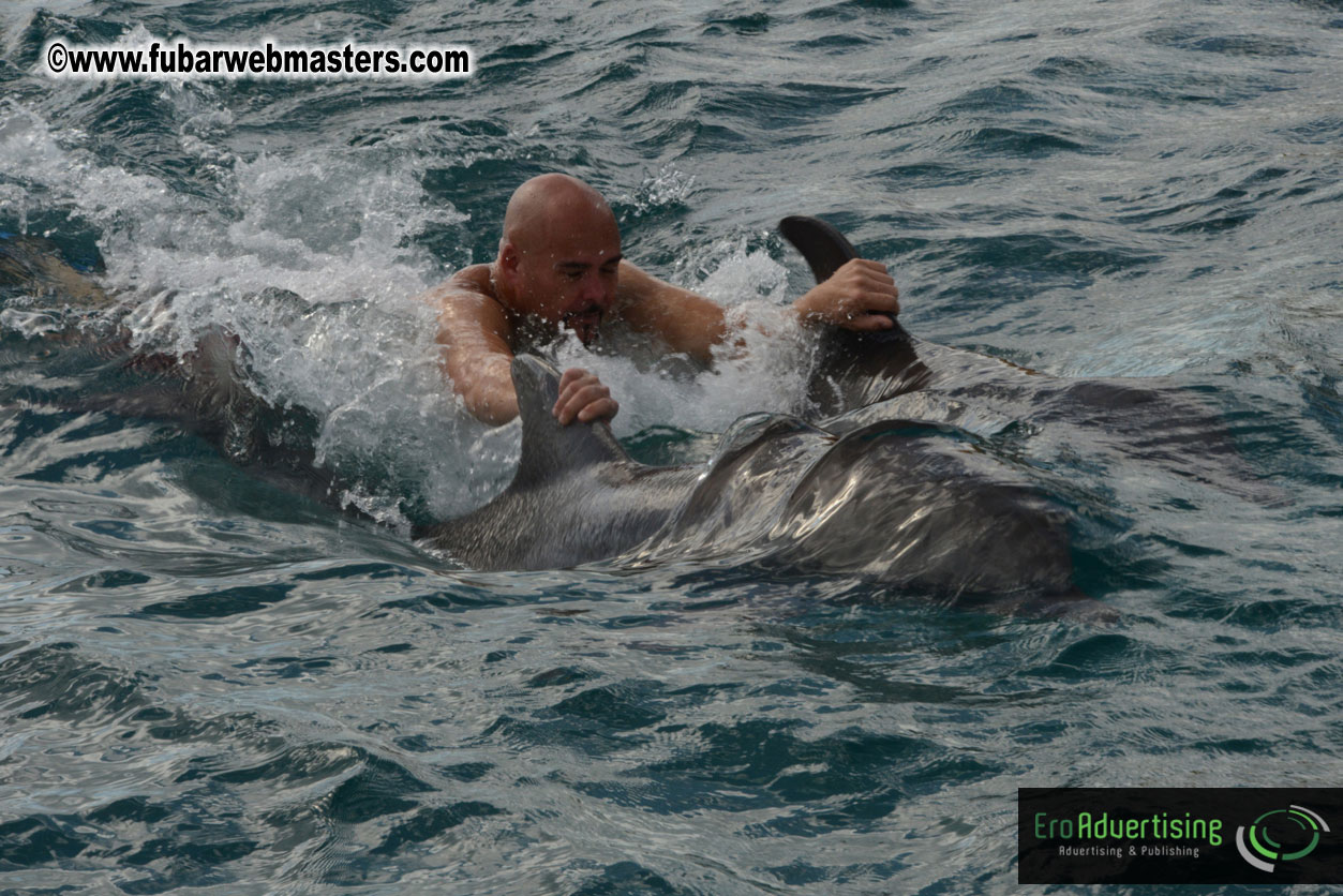 WireCard Dolphin Swim