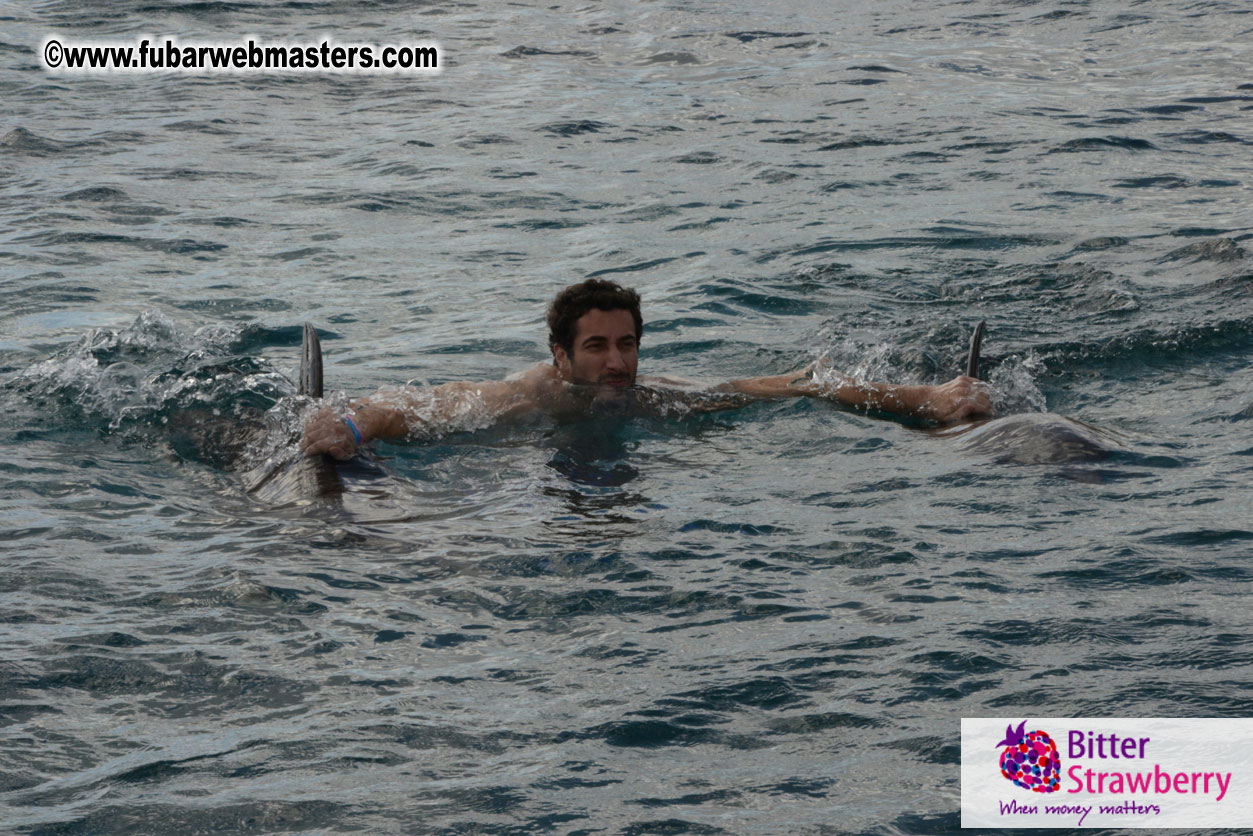 WireCard Dolphin Swim