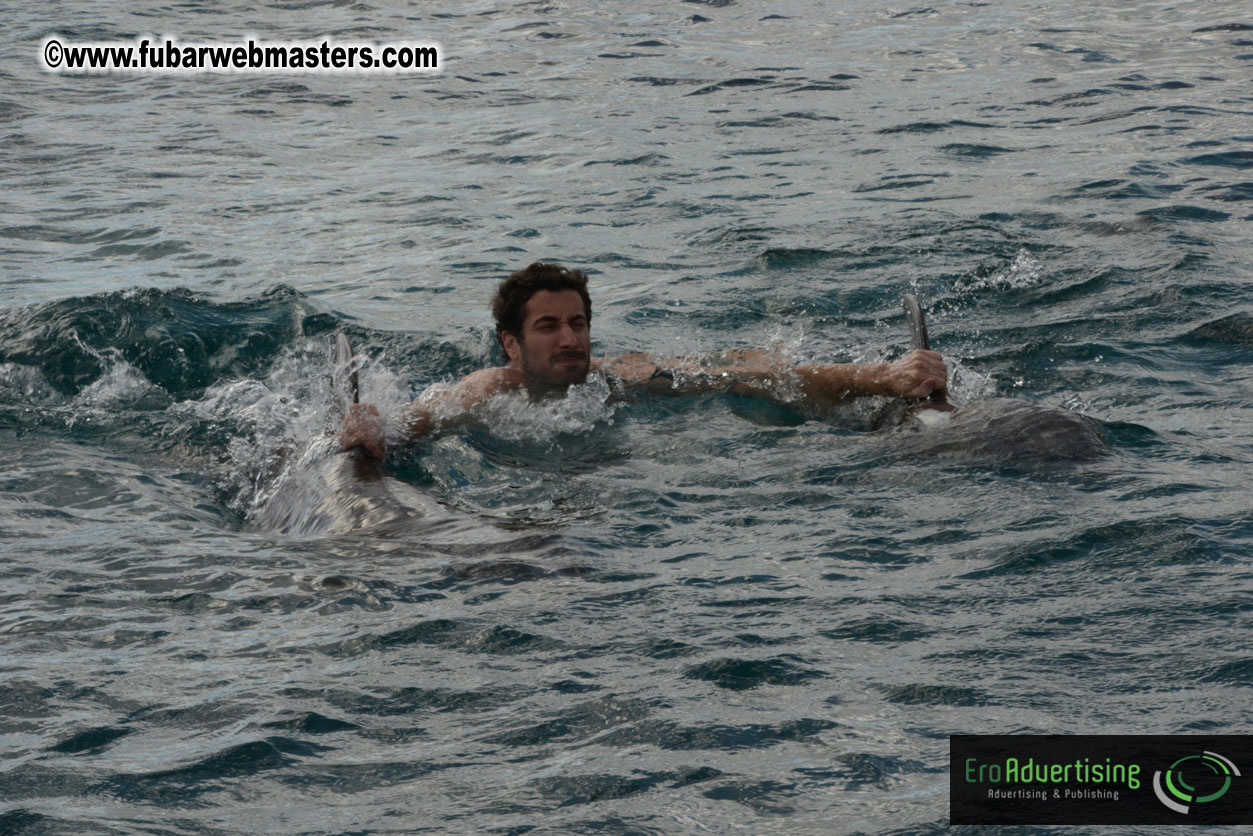 WireCard Dolphin Swim