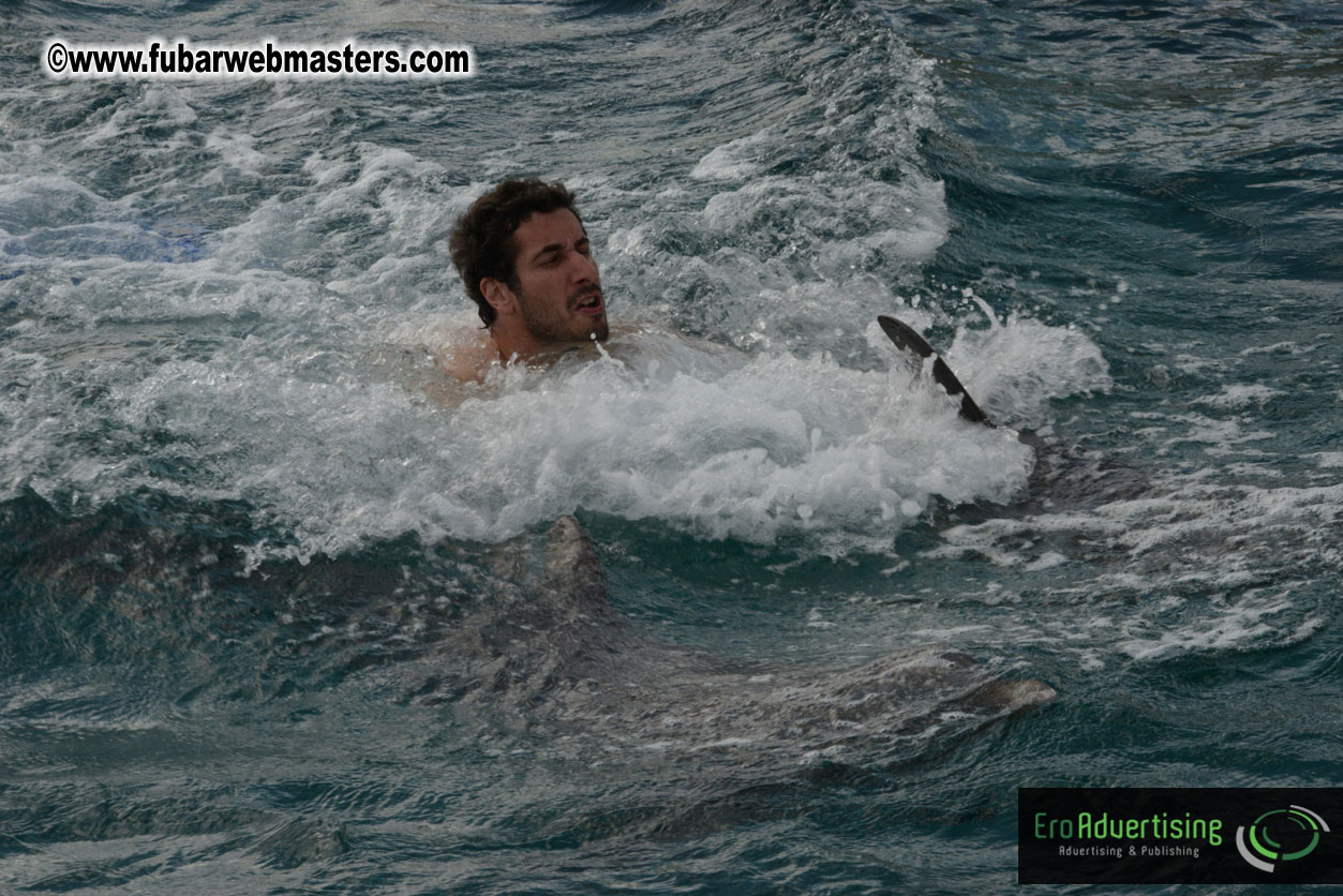 WireCard Dolphin Swim