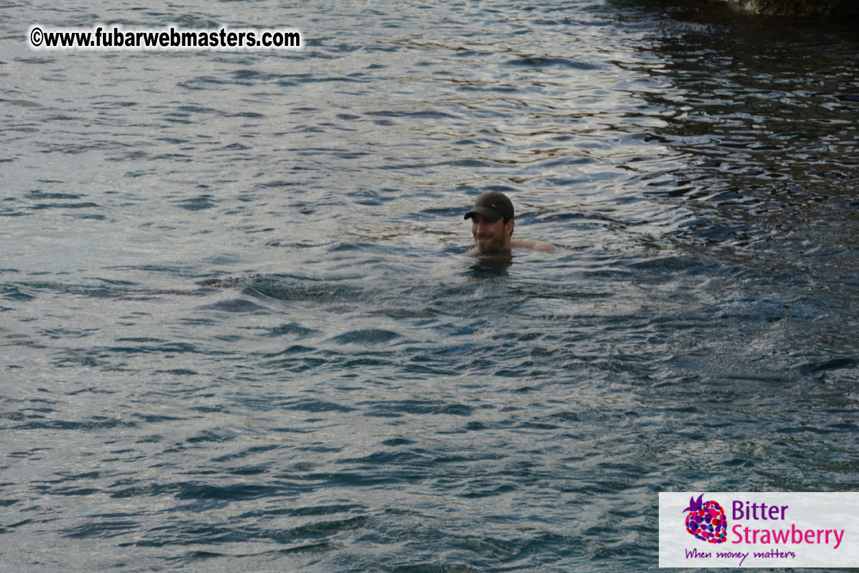 WireCard Dolphin Swim