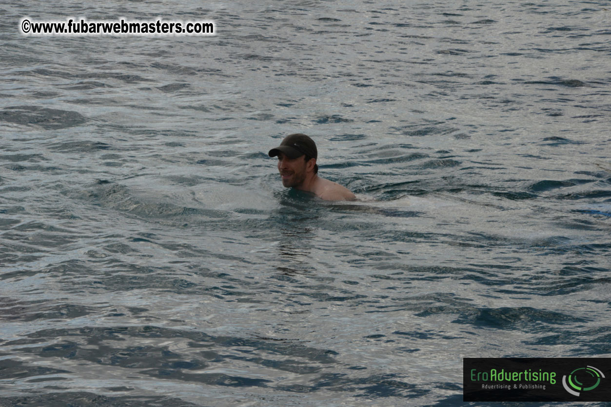 WireCard Dolphin Swim