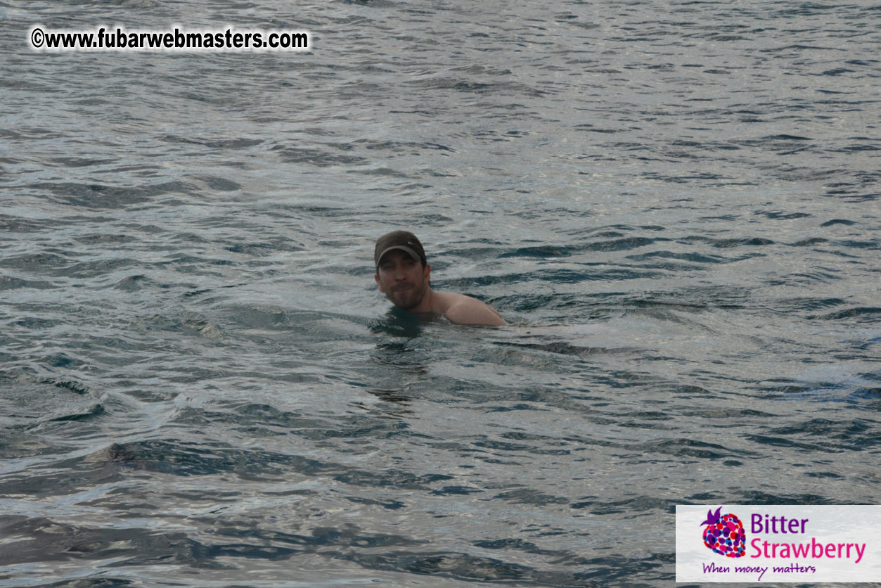 WireCard Dolphin Swim