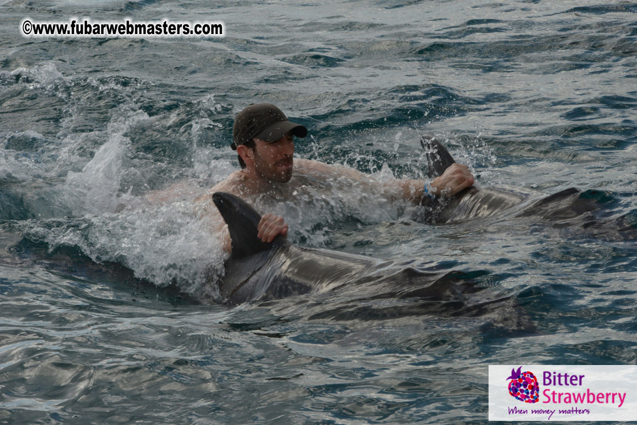 WireCard Dolphin Swim