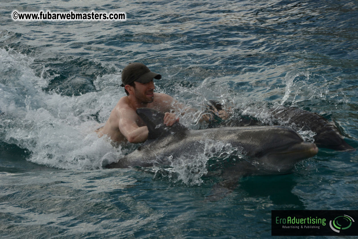 WireCard Dolphin Swim