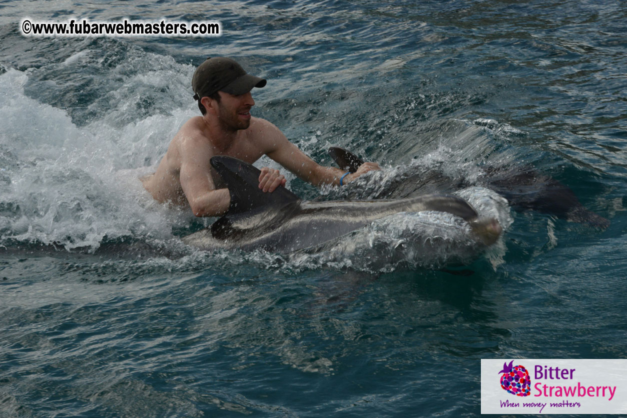 WireCard Dolphin Swim