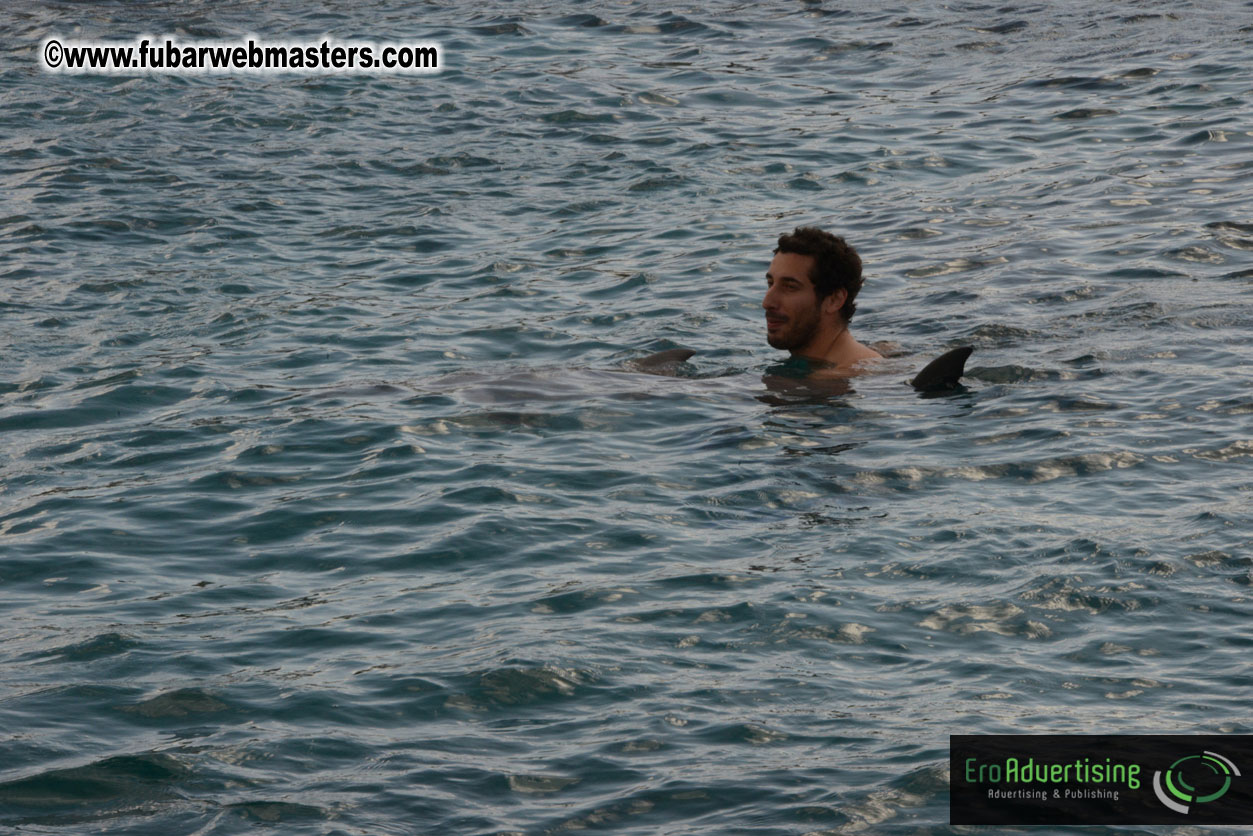 WireCard Dolphin Swim