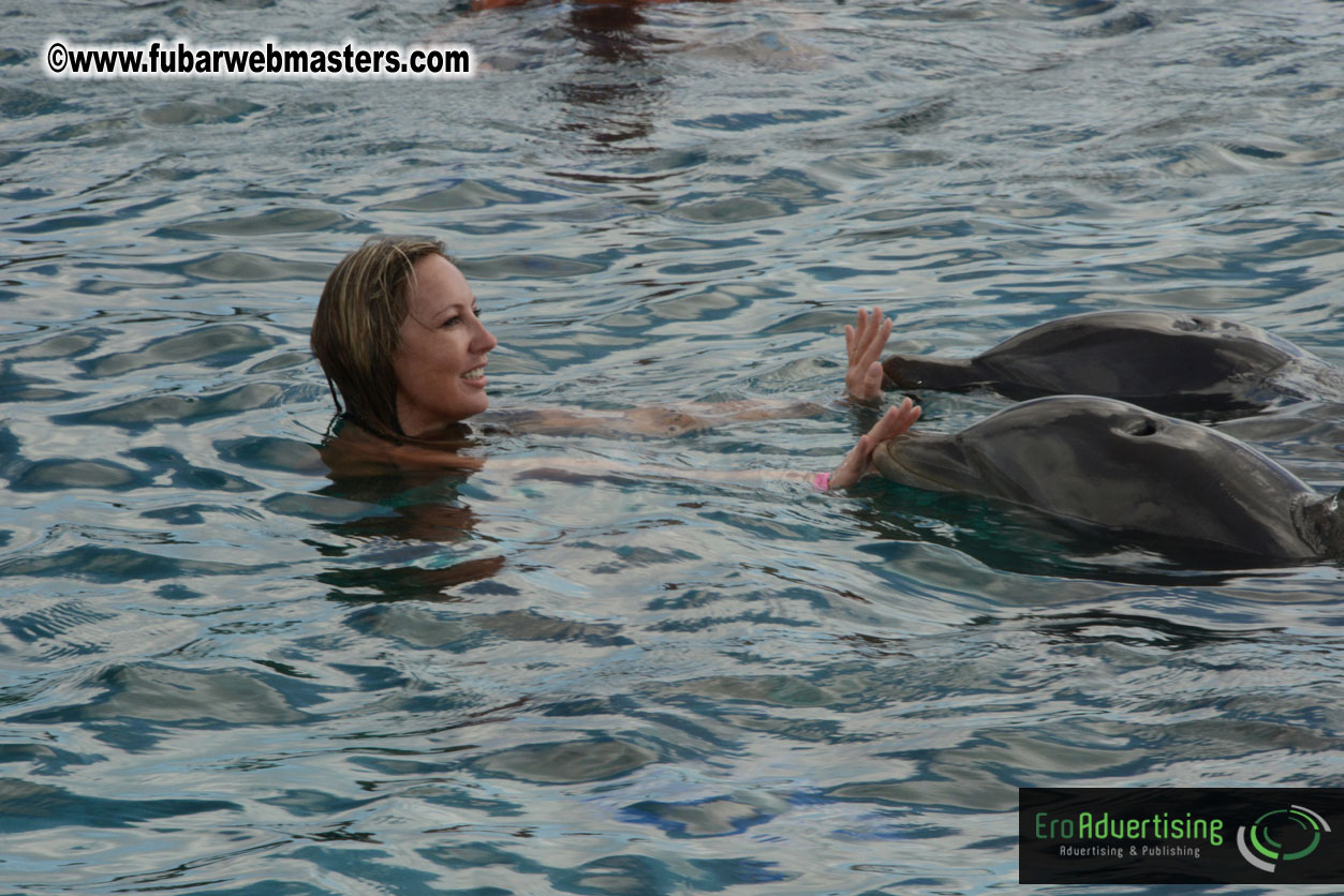 WireCard Dolphin Swim