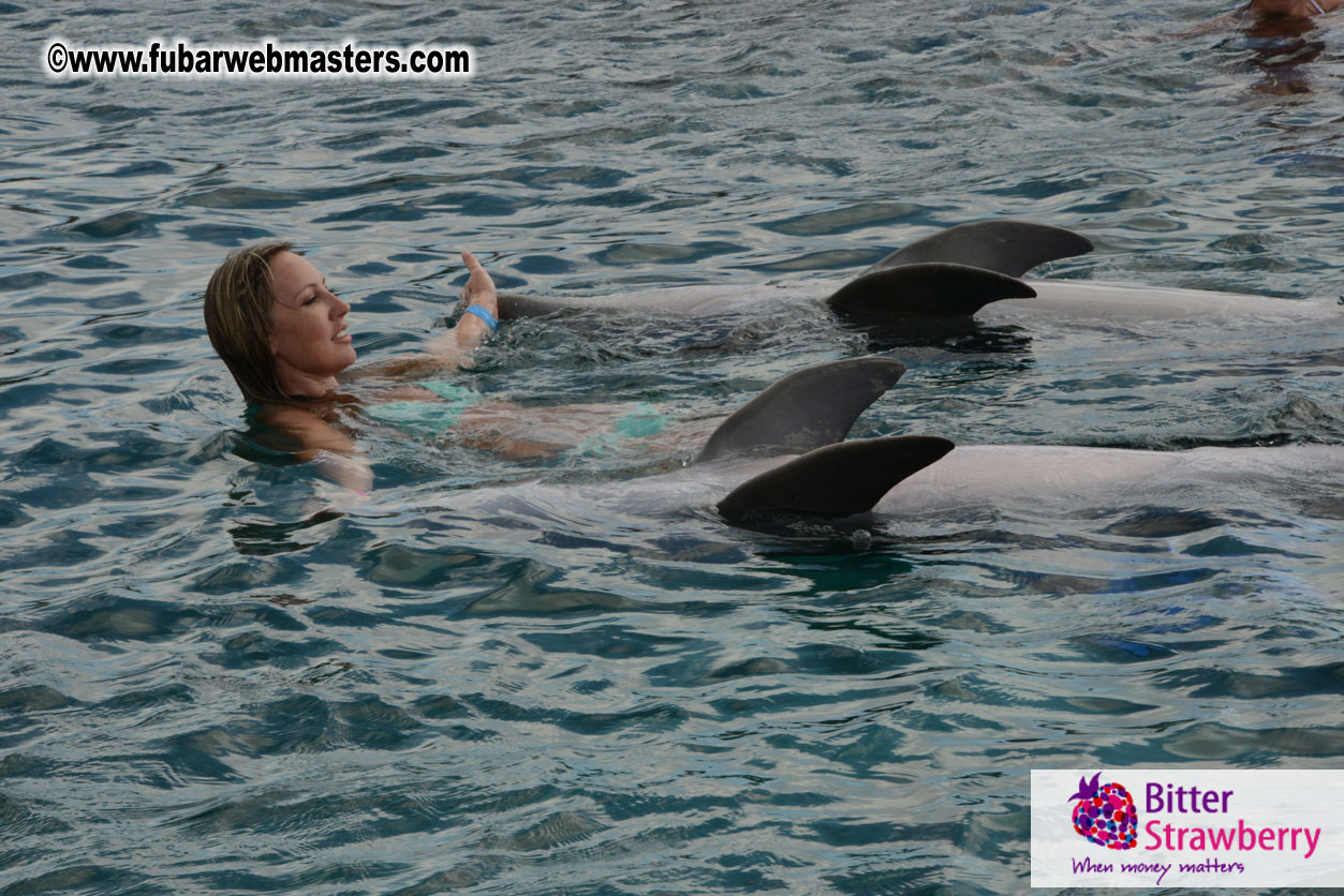 WireCard Dolphin Swim