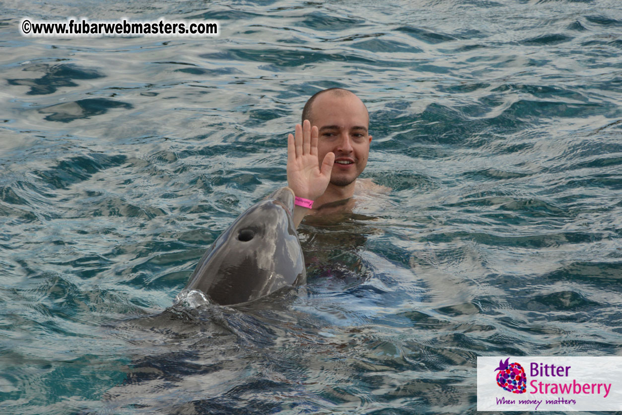 WireCard Dolphin Swim