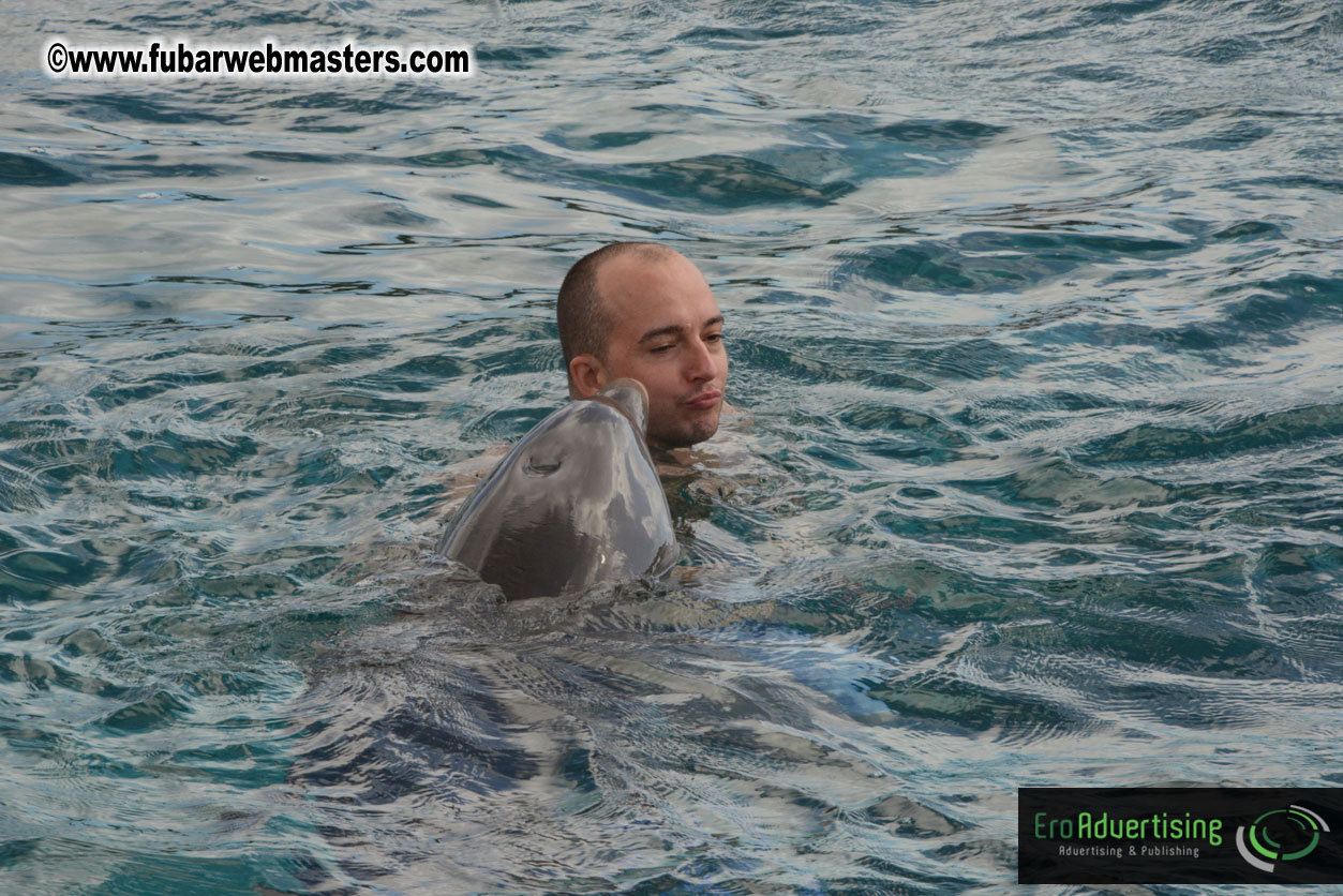 WireCard Dolphin Swim