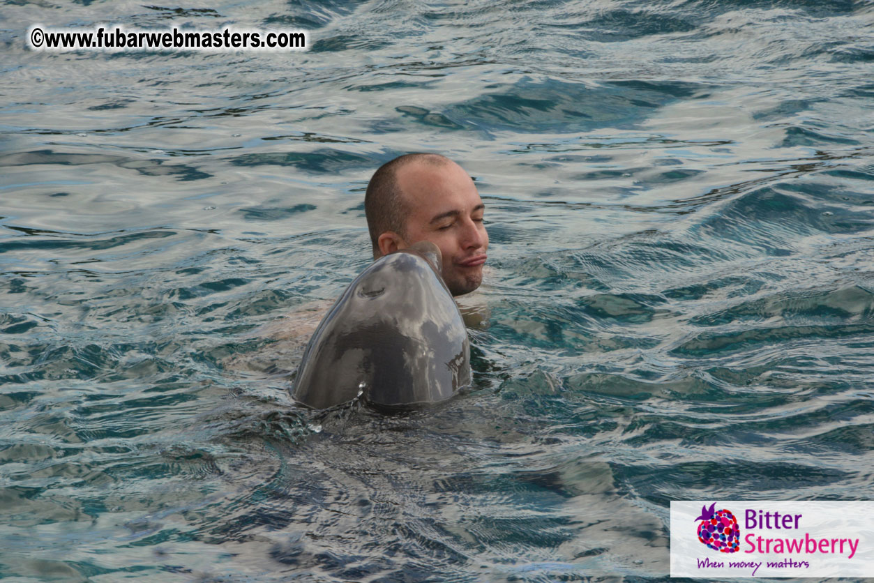 WireCard Dolphin Swim