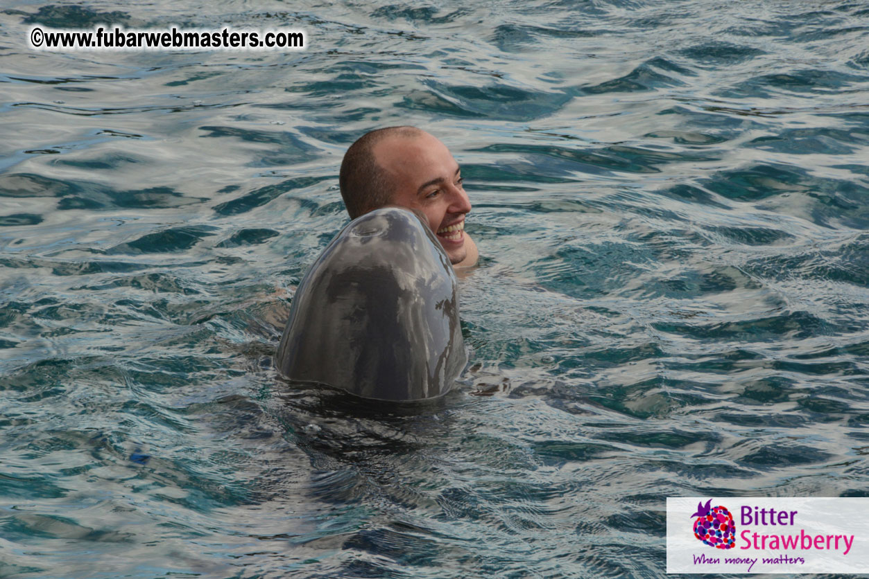 WireCard Dolphin Swim