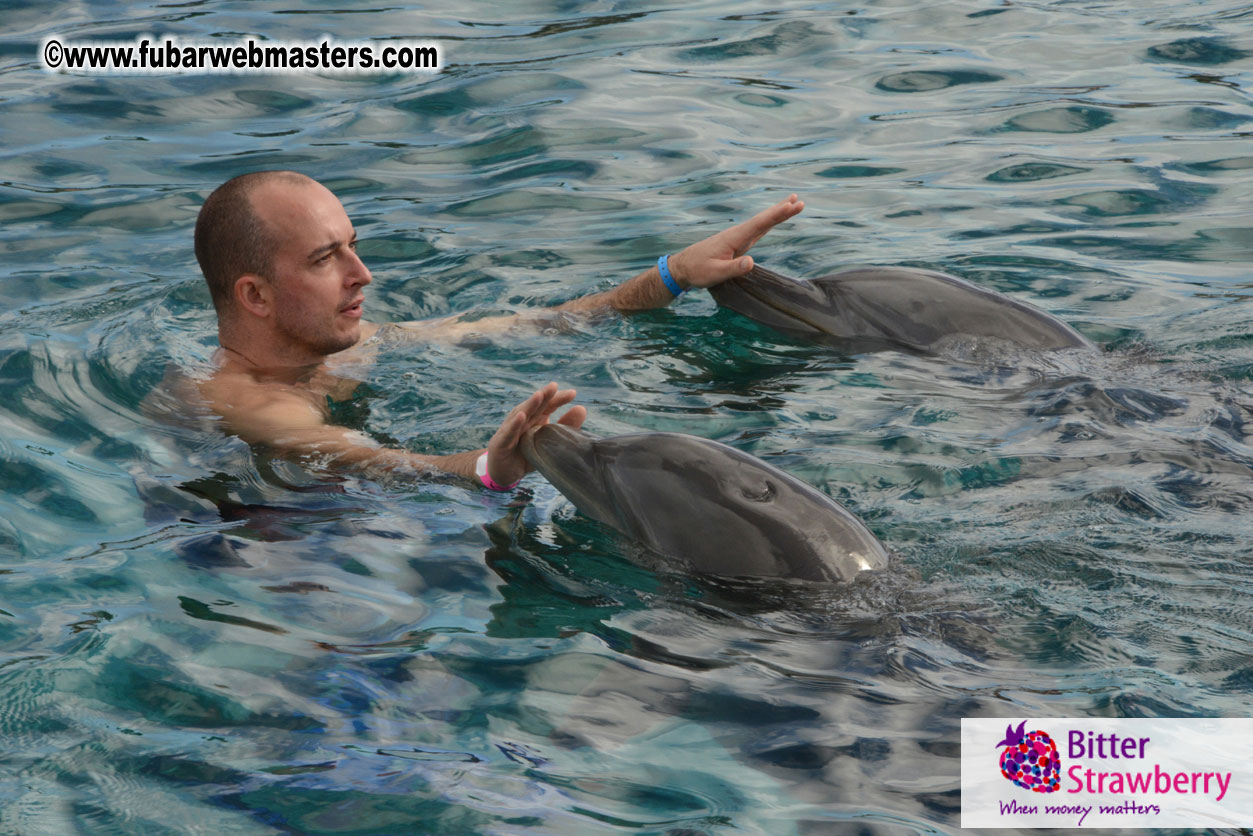 WireCard Dolphin Swim