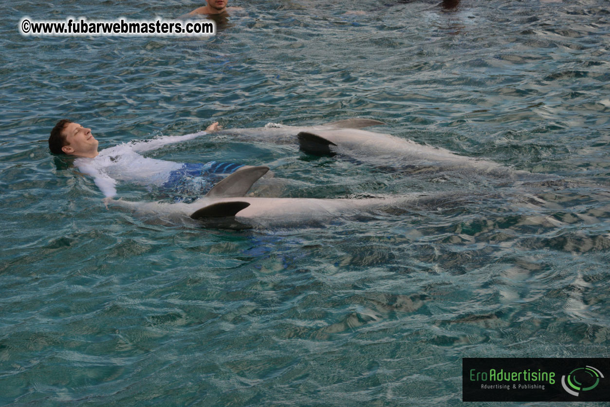 WireCard Dolphin Swim