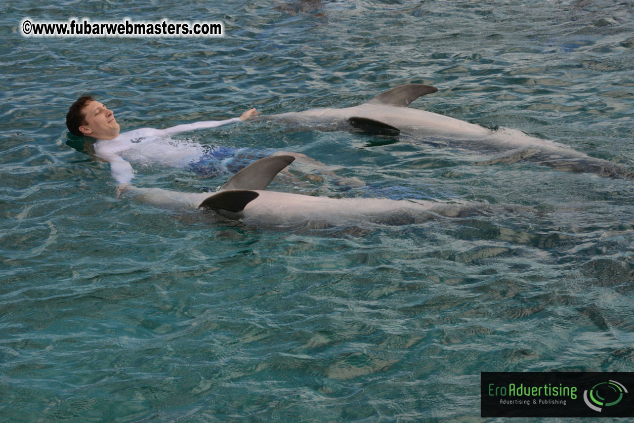 WireCard Dolphin Swim