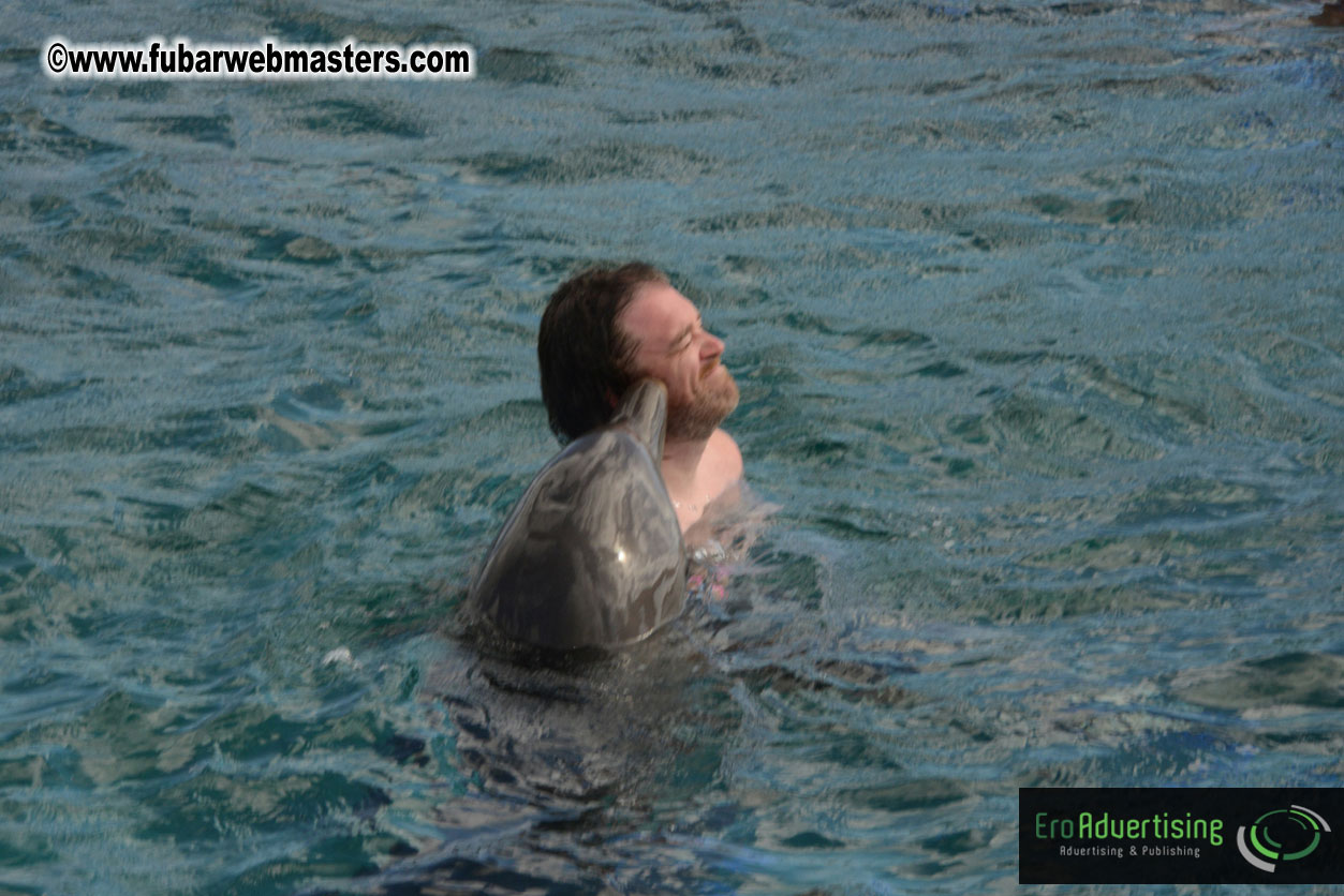 WireCard Dolphin Swim