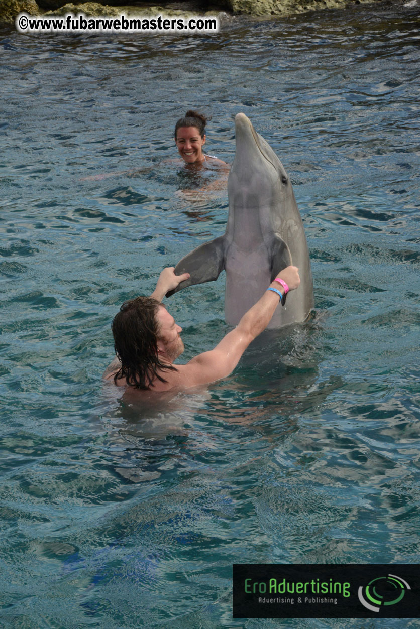 WireCard Dolphin Swim