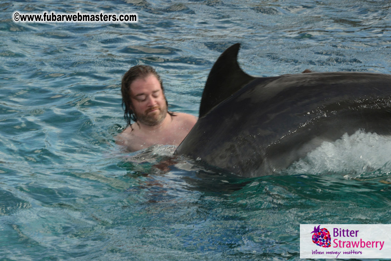 WireCard Dolphin Swim