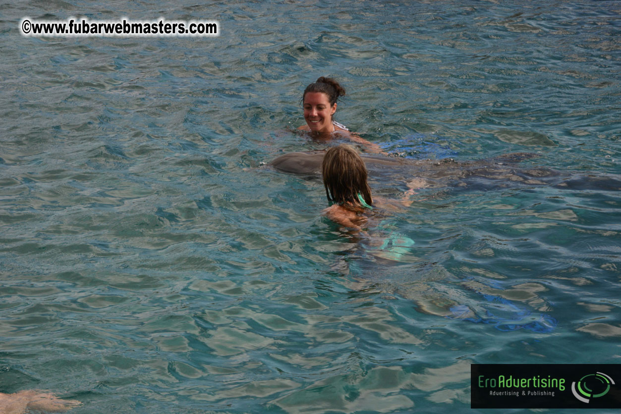 WireCard Dolphin Swim