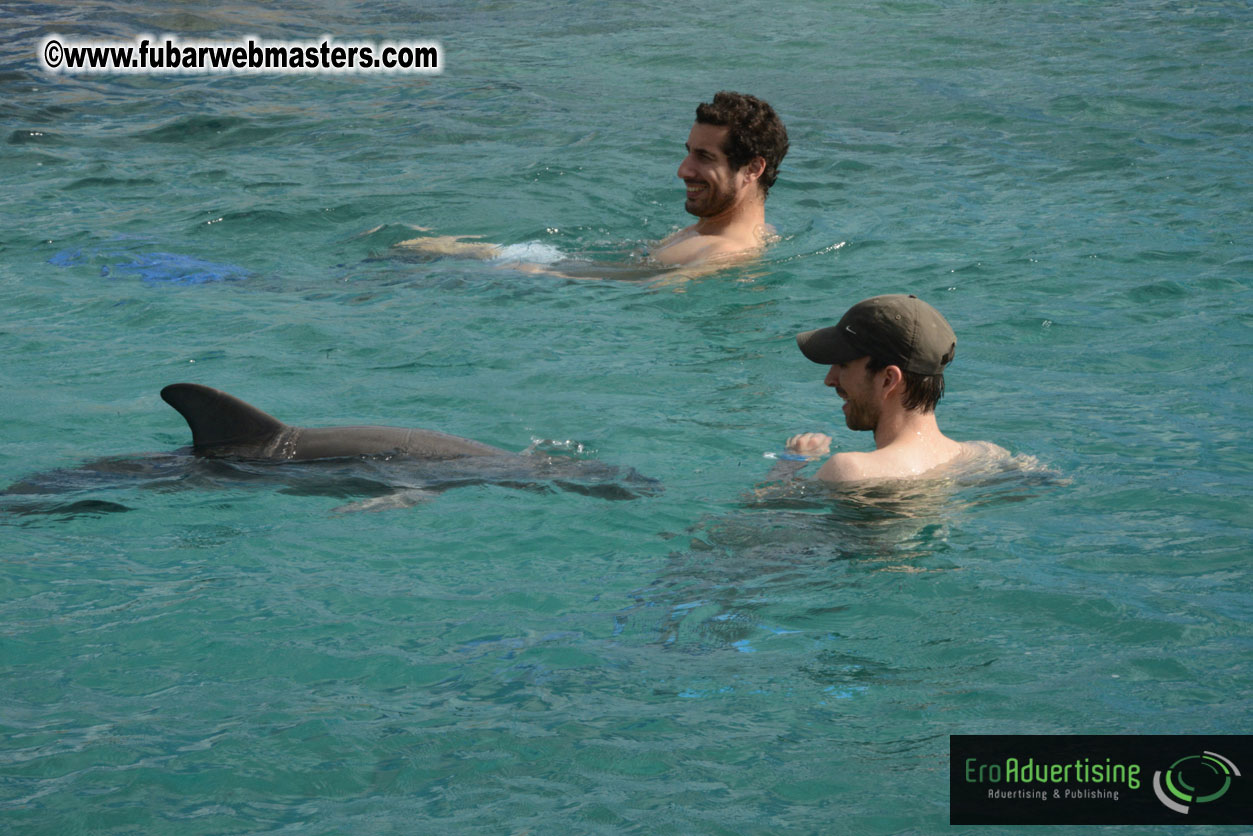 WireCard Dolphin Swim